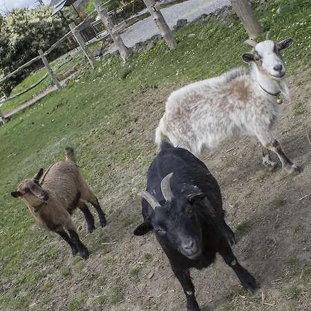 Ferienhaus Gite A La Ferme Durbuy